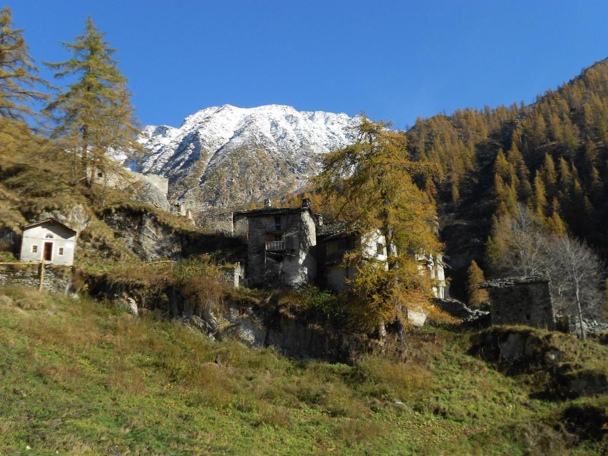 La Mura' - Il Vostro Posto Nel Gran Paradiso Ronco Canavese Exterior photo