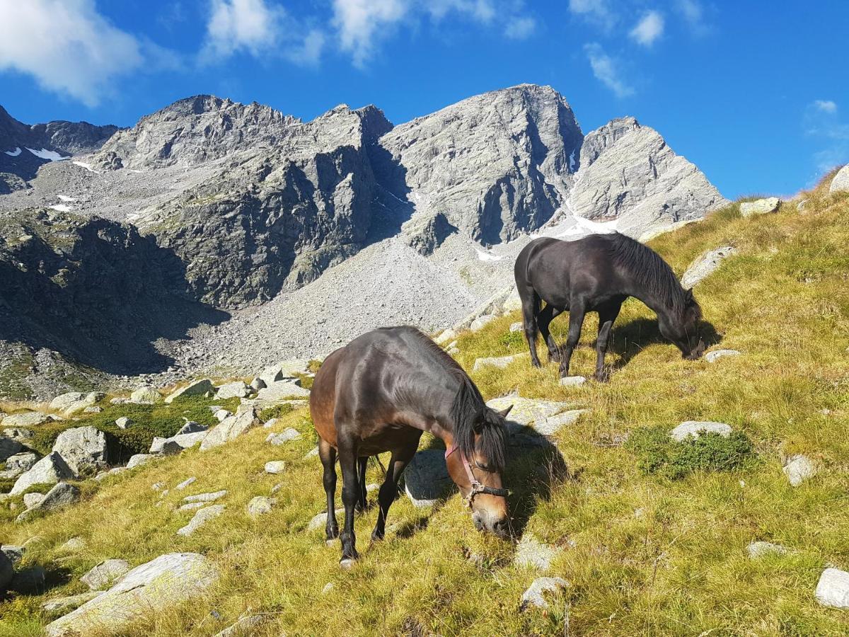 La Mura' - Il Vostro Posto Nel Gran Paradiso Ronco Canavese Exterior photo