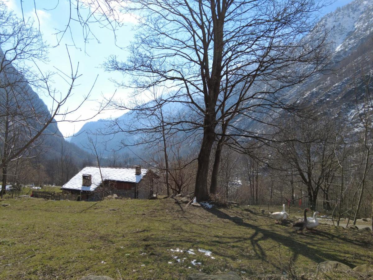 La Mura' - Il Vostro Posto Nel Gran Paradiso Ronco Canavese Exterior photo