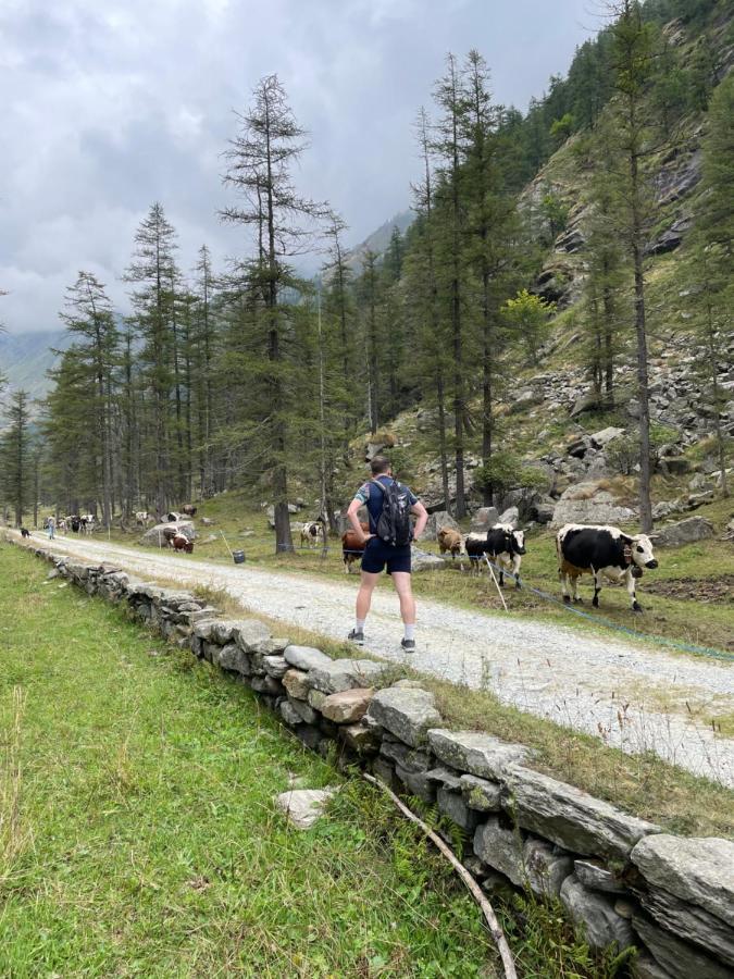 La Mura' - Il Vostro Posto Nel Gran Paradiso Ronco Canavese Exterior photo